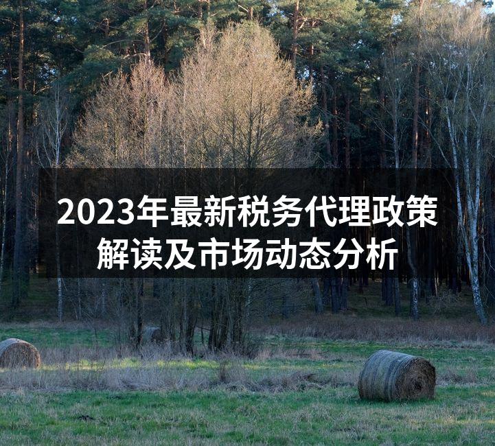 2023年最新税务代理政策解读及市场动态分析