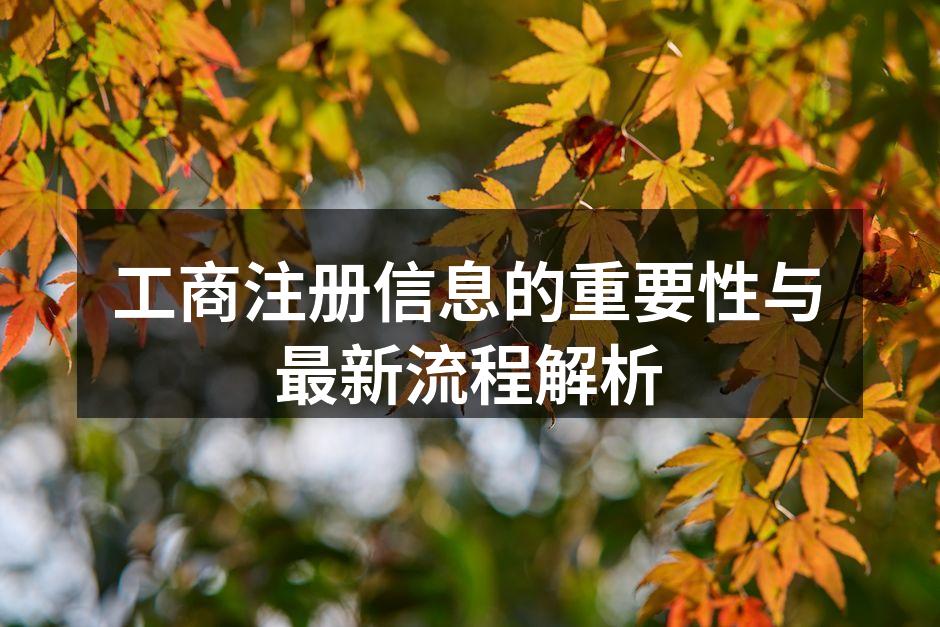 工商注册信息的重要性与最新流程解析