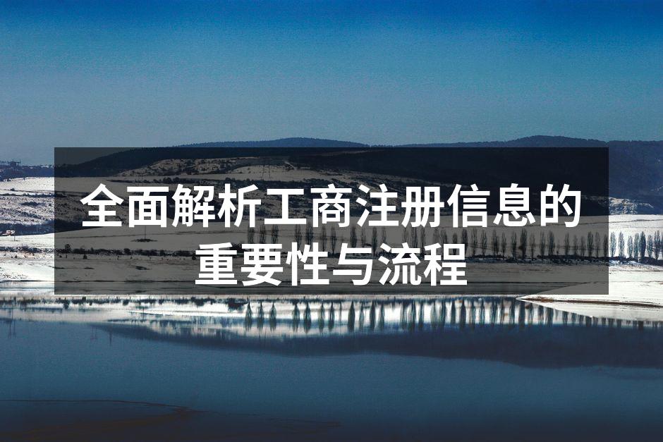 全面解析工商注册信息的重要性与流程