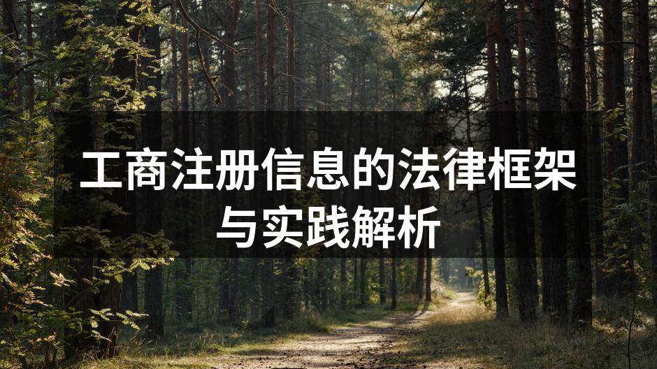 工商注册信息的法律框架与实践解析