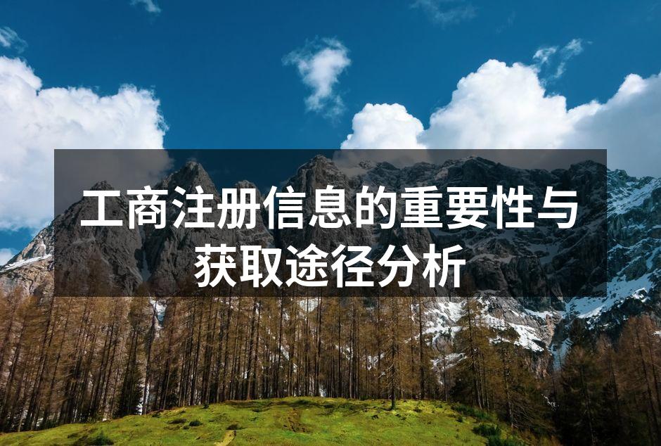 工商注册信息的重要性与获取途径分析