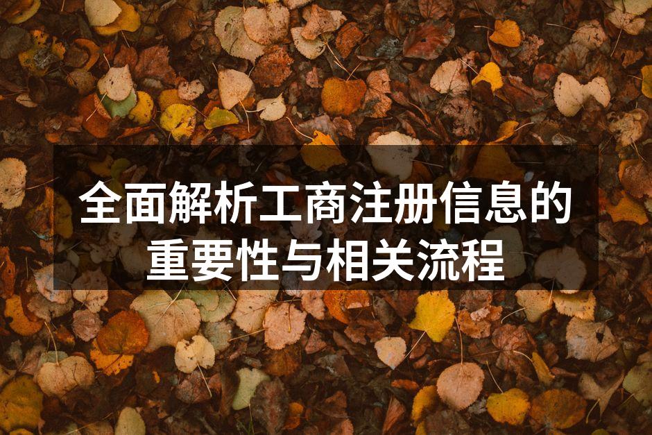 全面解析工商注册信息的重要性与相关流程