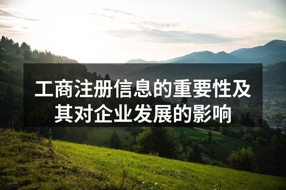工商注册信息的重要性及其对企业发展的影响