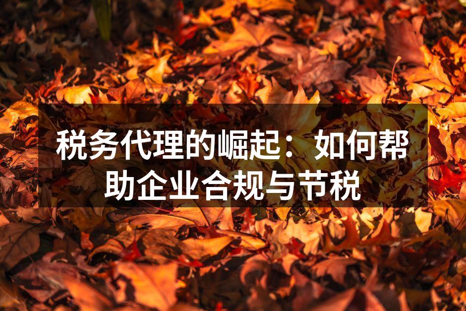 税务代理的崛起：如何帮助企业合规与节税